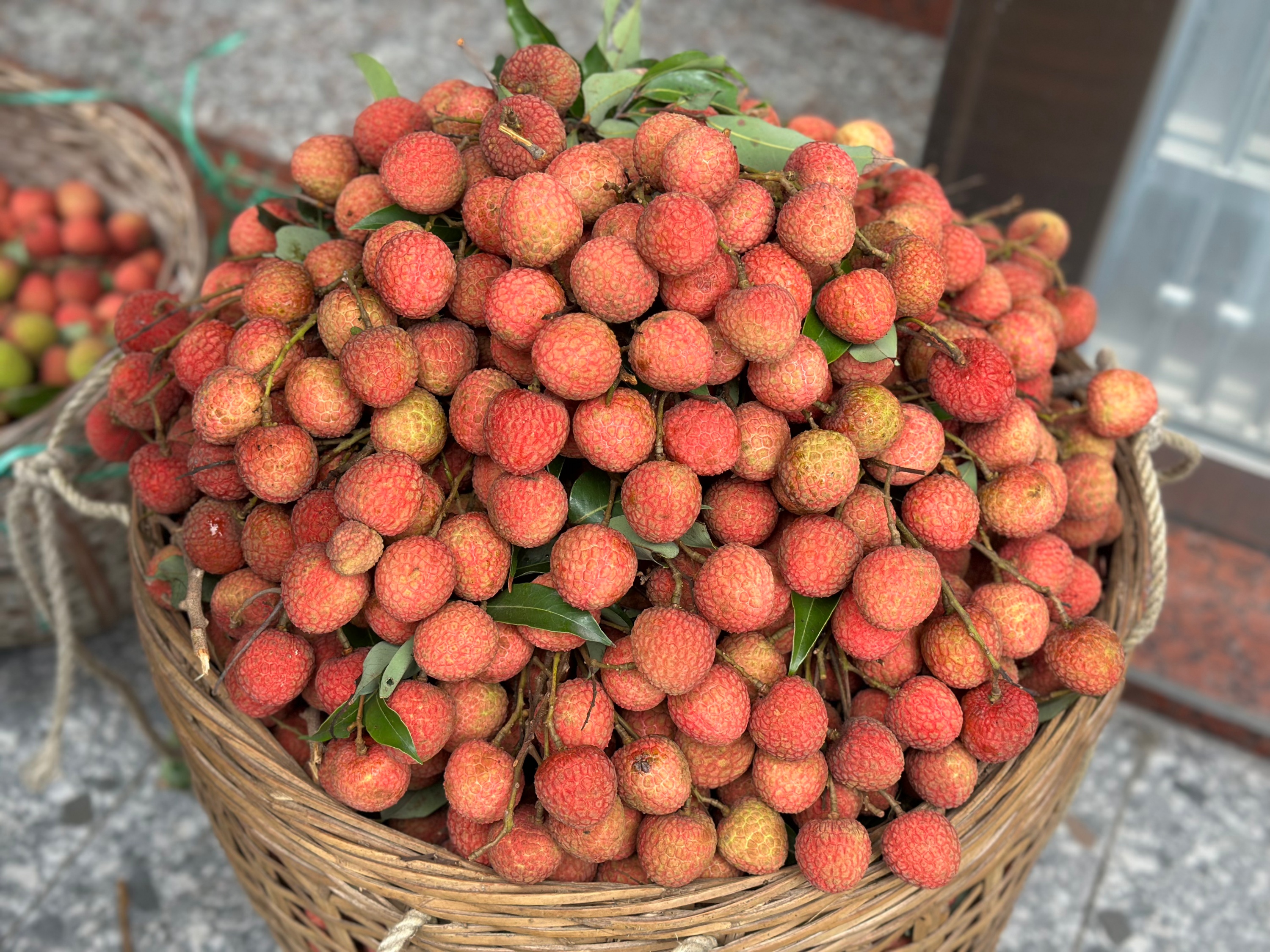 ??? ?? ?? ??? ????? ? ????(??? ?? ??? ??)