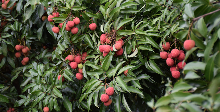 ????| ??? ??? ??? ??? ??? ???