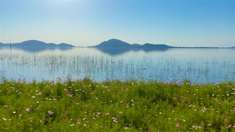 ??? ??? ??? ??? ???(??? ??).