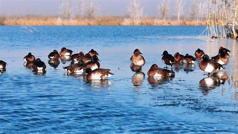 ?? 1? ??????? ?????? ???? ???? ??(??? ??).