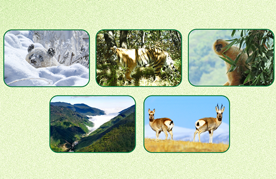 ?1? 5? ????? ‘???’ ???!