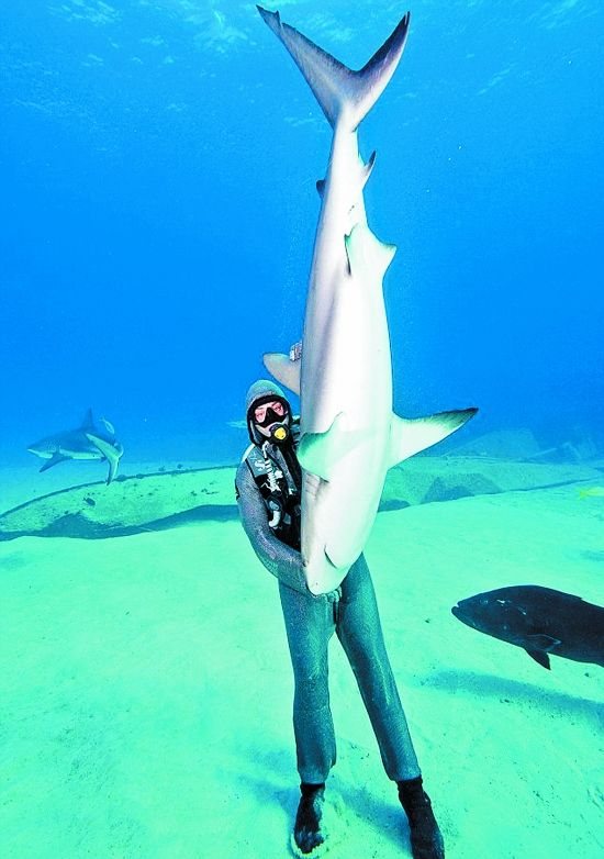 ?? ?? ? ??， ????? ????