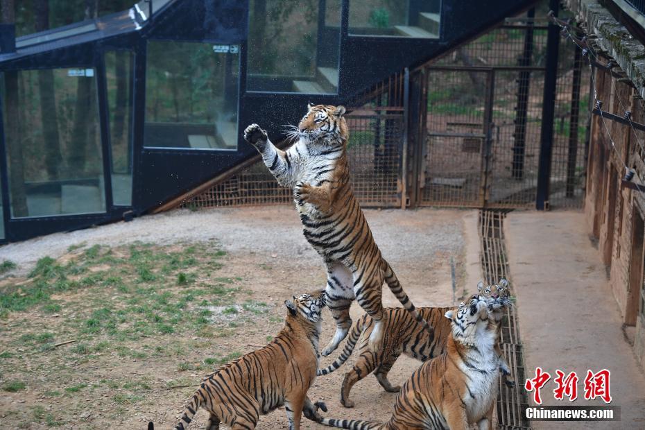 ?? ?? ??, ??? '?? ???' ?? ??