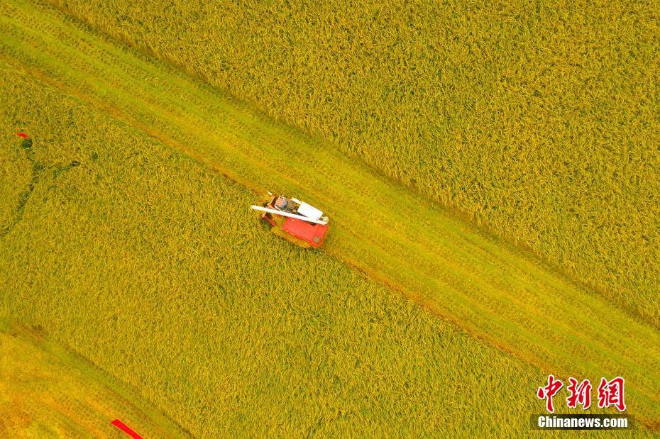 ?? ??, ????? ??? ?? ??? ?