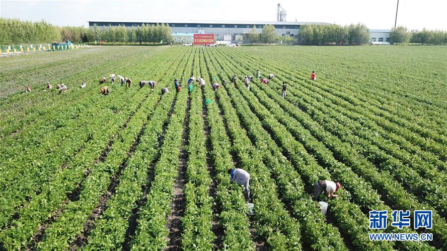 ??? ??: ??? ?????? ?? ??????? ? ??